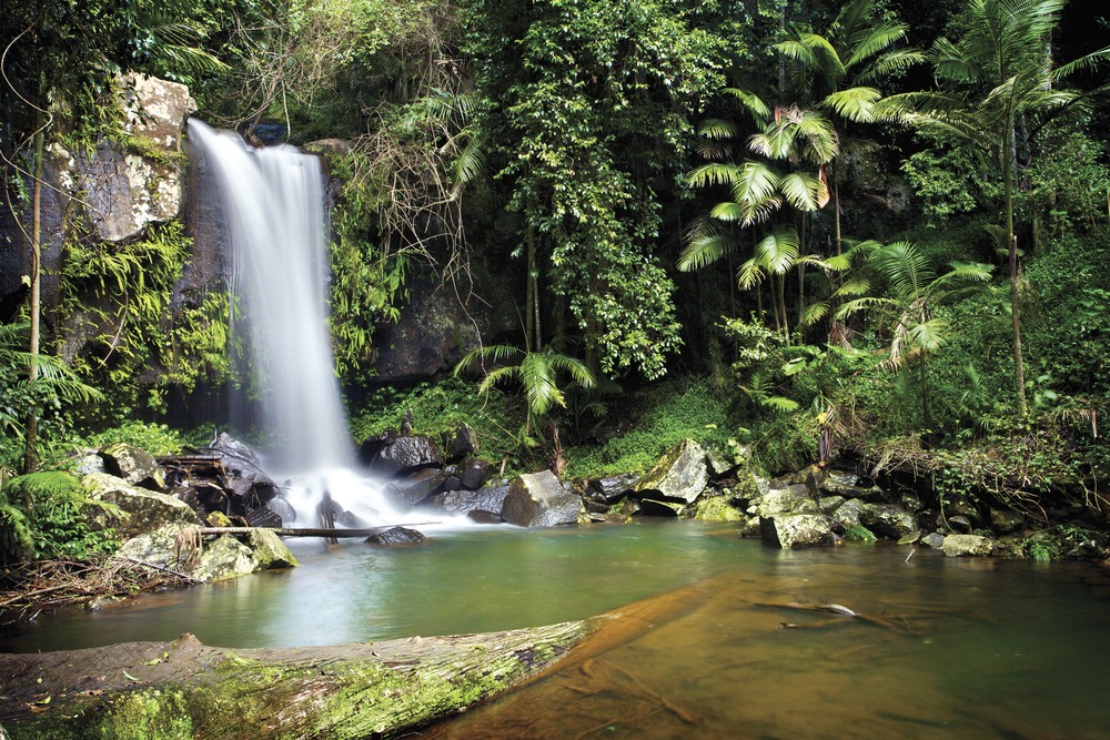 Top Romantic Accommodation In Gold Coast Hinterland
